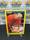 1992 WWE WWF Merlin Gold Series 2 Nailz #44 Trading Card