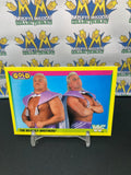 1992 WWE WWF Merlin Gold Series 2 The Beverly Brothers #40 Trading Card