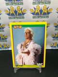 1992 WWE WWF Merlin Gold Series 2 Ric Flair #70 Trading Card