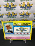 1992 WWE WWF Merlin Gold Series 2 Ric Flair #70 Trading Card