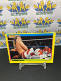 1992 WWE WWF Merlin Gold Series 2 Shawn Michaels #33 Trading Card