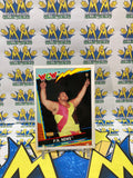 1992 TOPPS WCW UK Exclusive P.N. News #19 Trading Card