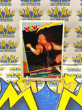 ERROR CARD 1992 TOPPS WCW UK Exclusive Barry Windham Sid Vicious #45 Trading Card