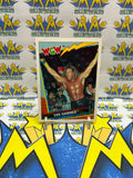 1992 TOPPS WCW UK Exclusive Van Hammer #32 Trading Card
