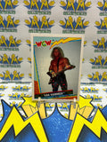 1992 TOPPS WCW UK Exclusive Van Hammer #29 Trading Card