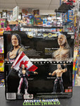 2006 Jakks Classic Superstars The Montreal Screw Job Bret Hart & Shawn Michaels Figure (New)