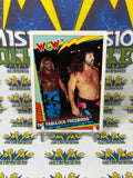 1992 TOPPS WCW UK Exclusive The Fabulous Freebirds #15 Trading Card