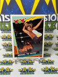 1992 TOPPS WCW UK Exclusive Micheal P Hayes #13 Trading Card