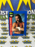 1991 WWF Classic Games Jake The Snake Roberts #4 Trading Card