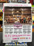 Weekly Pro Wrestling Japanese Magazine November 18, 2020 No.2092