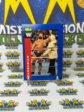 1991 WWF Classic Games Barbarian #62 Trading Card