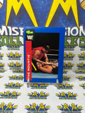 1991 WWF Classic Games The Mountie #66 Trading Card