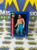 1991 WWF Classic Games Jake The Snake Roberts #73 Trading Card