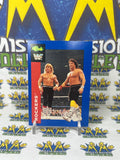 1991 WWF Classic Games The Rockers #137 Trading Card