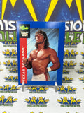 1991 WWF Classic Games Texas Tornado #143 Trading Card