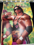 WWF Wrestling Spotlight Magazine Volume 11 The Hart Foundation