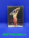 WWE/WWF 1998 Superstarz Trading Card Dr. Death Steve Williams #36