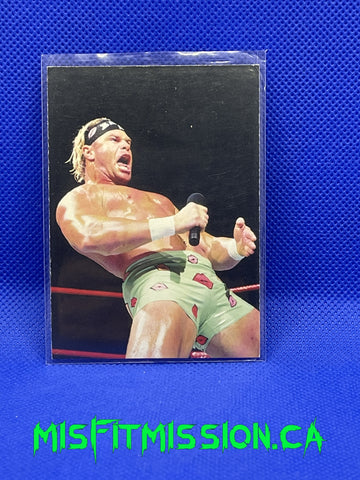 WWE/WWF 1998 Superstarz Trading Card Badd Ass Billy Gunn #34