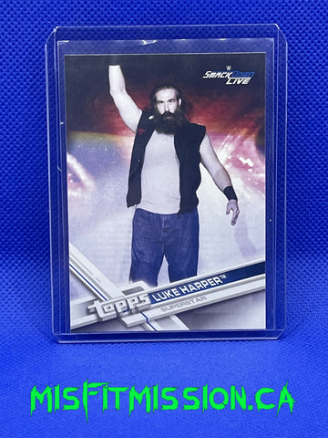 2017 WWE Topps Luke Harper #49