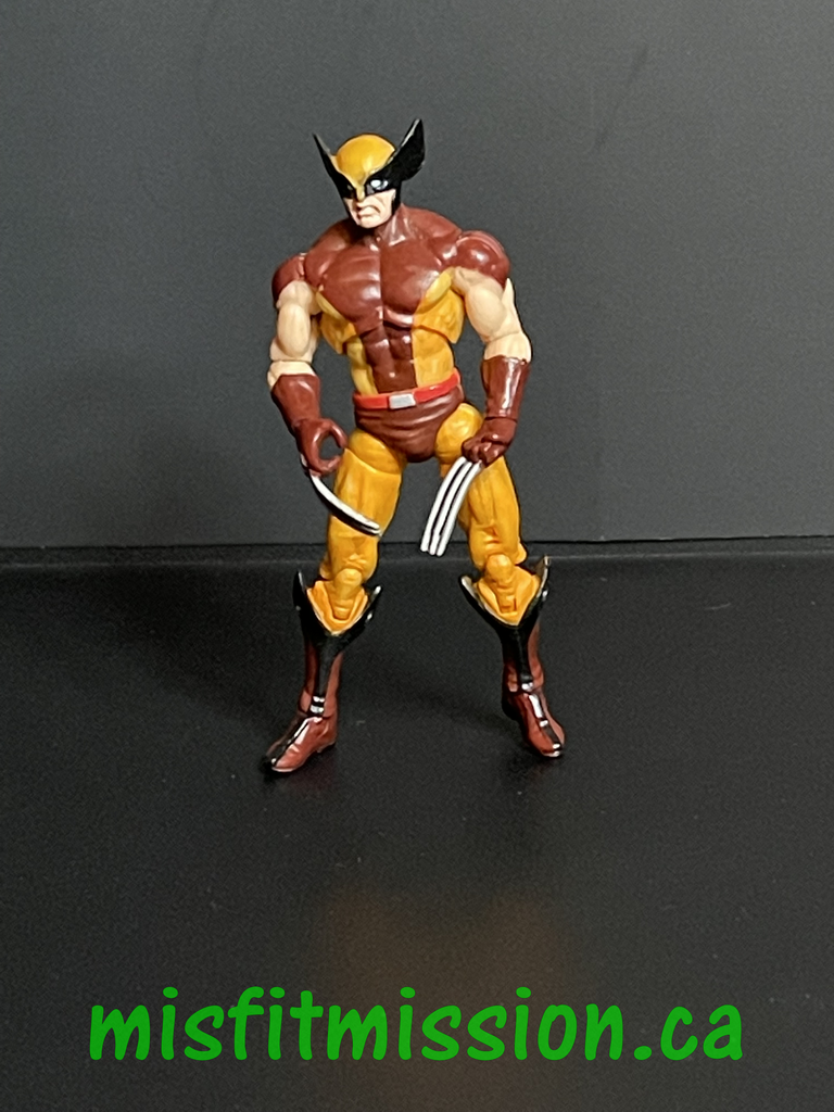Marvel universe best sale wolverine figure