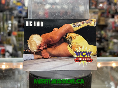 WCW 1995 Main Event Trading Cards Ric Flair #79