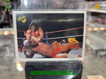 1990 WWF Classic Games Tito Santana #115