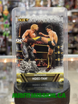2017 WWE Topps Then Now Forever NXT Shotgun Kick Hideo Itami F-40