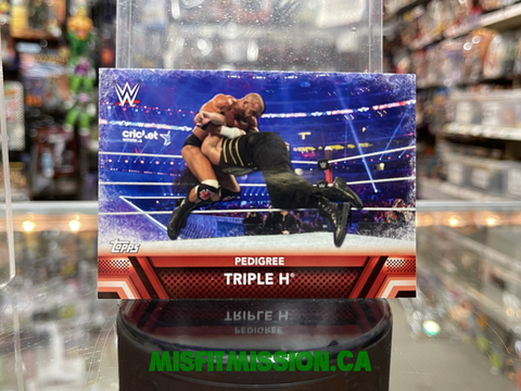 2017 WWE Topps Then Now Forever The Pedigree Triple H F-9