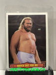 WWE/WWF O-Pee-Chee 1985 #28 Big John Stud